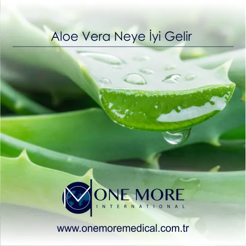 aloe vera neye iyi gelir